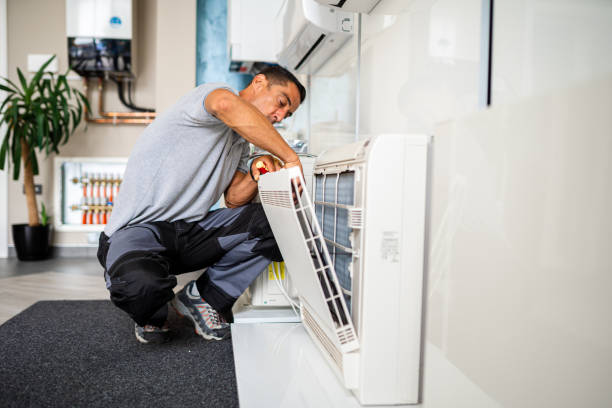 Best Air Duct Mold Removal  in Difficult Run, VA